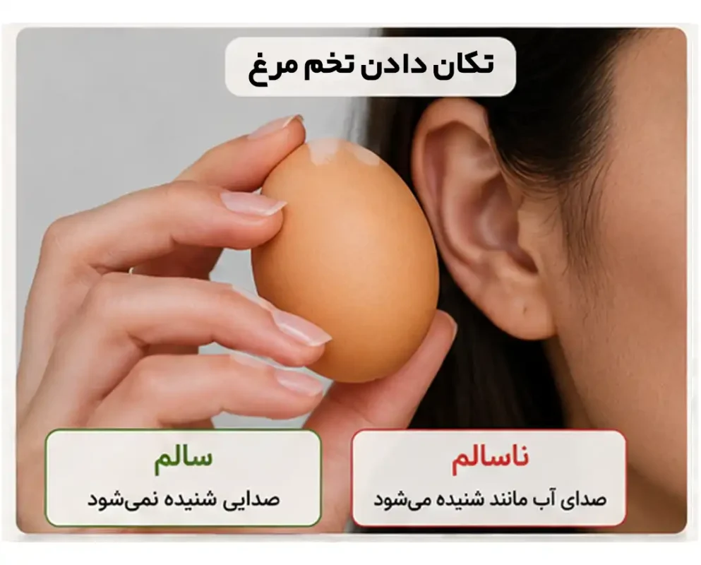 تشخیص تخم مرغ سالم از ناسالم
