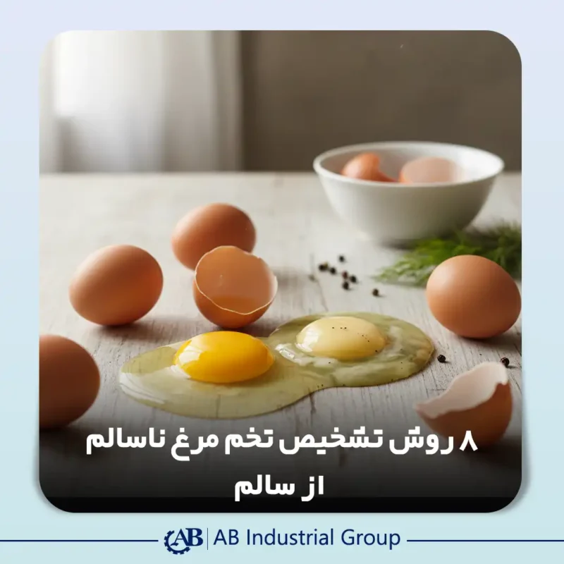 تشخیص تخم مرغ سالم از ناسالم
