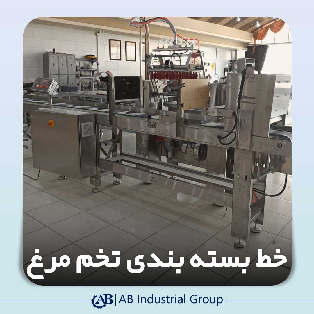 معرفی خط بسته بندی تخم مرغ