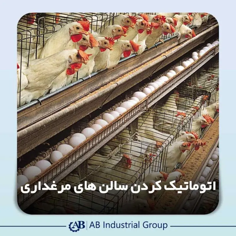 اتوماتیک کردن سالن‌های مرغداری با تجهیزات هوشمند و صنعتی