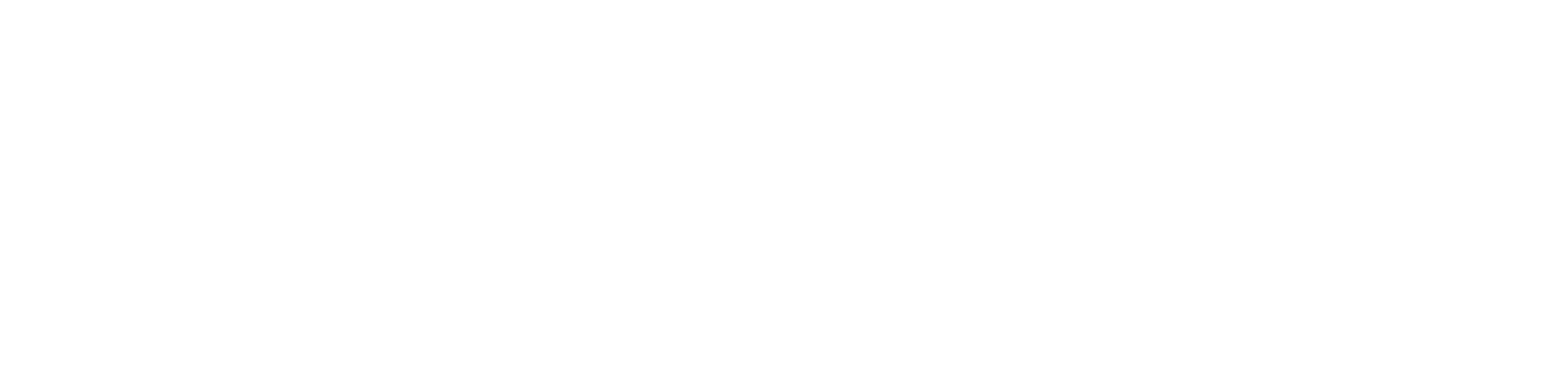 آرین بهرنگ سیاه قلم